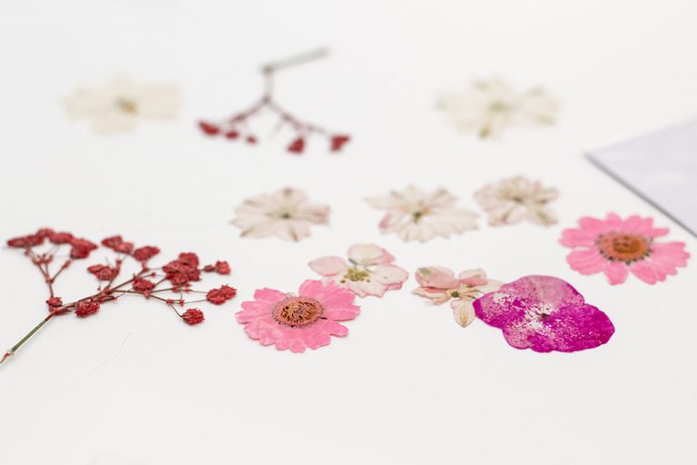 DIY Einladung zur Hochzeit: Schüttelkarte mit Trockenblumen