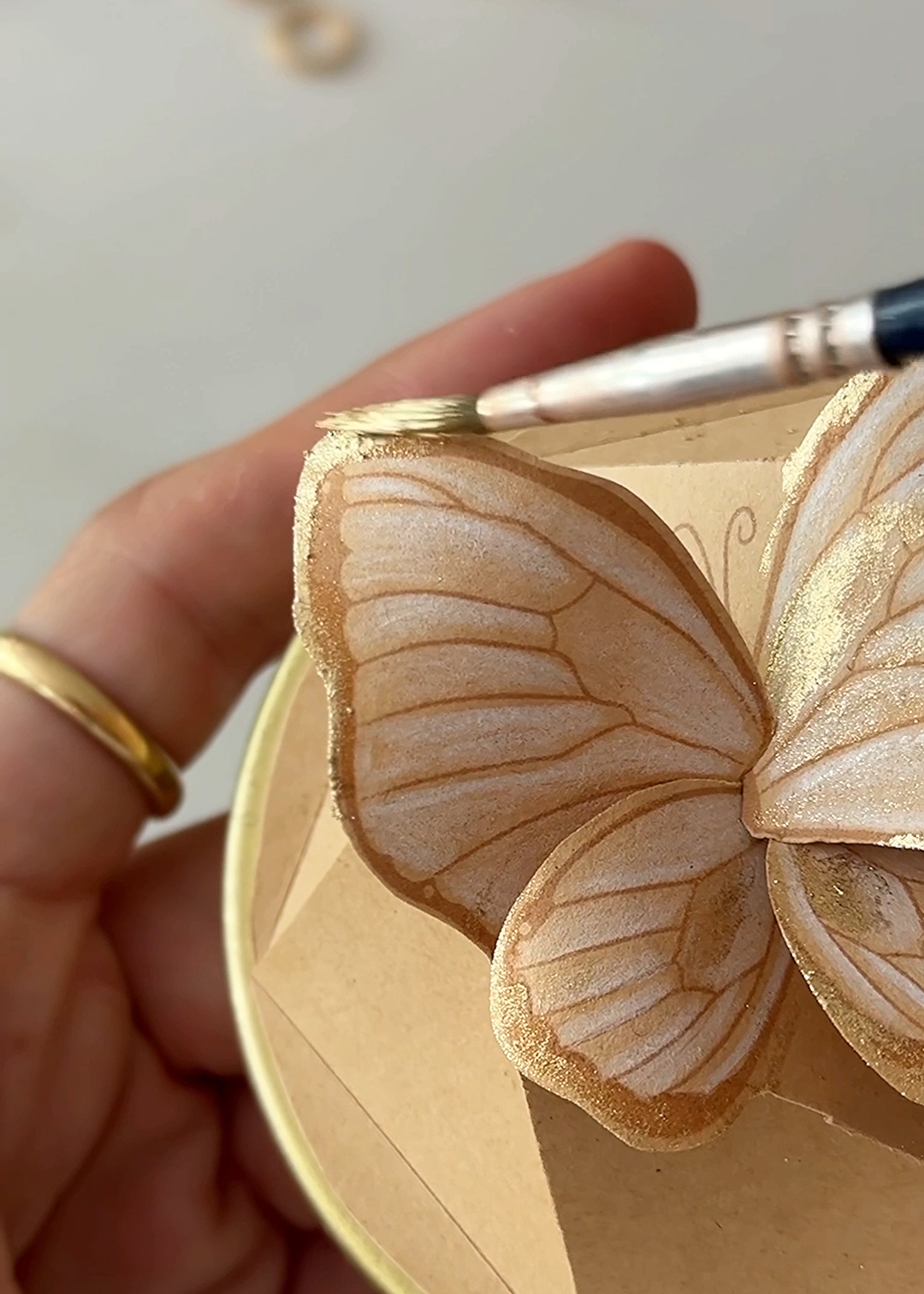 Schmetterling dose